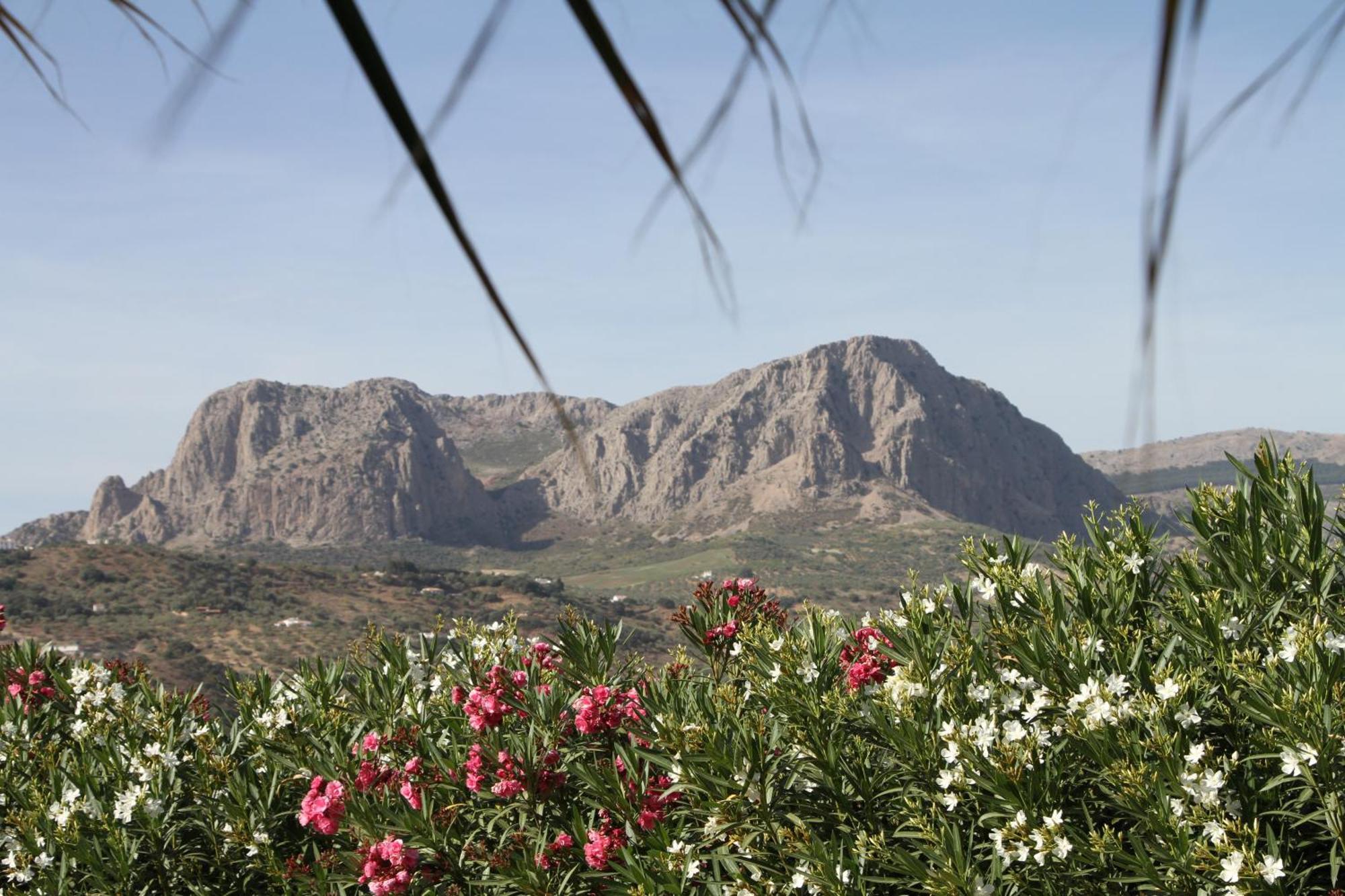 مبيت وإفطار Hacienda Ríogordo المظهر الخارجي الصورة