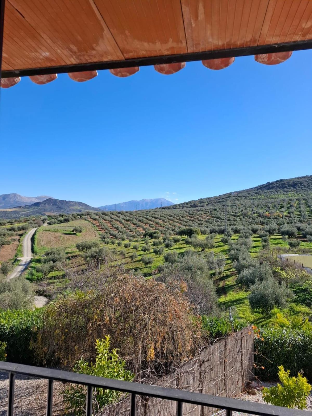 مبيت وإفطار Hacienda Ríogordo المظهر الخارجي الصورة