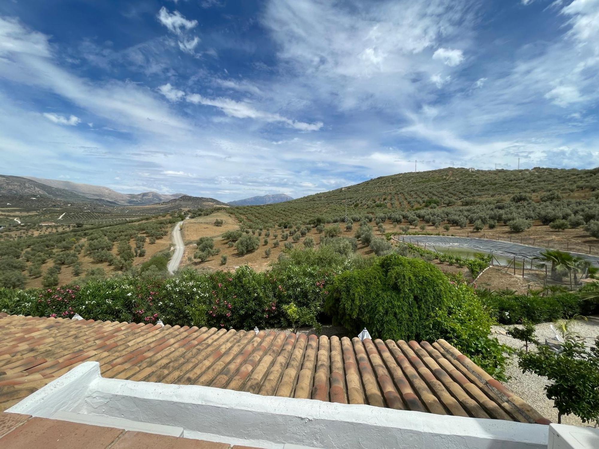 مبيت وإفطار Hacienda Ríogordo المظهر الخارجي الصورة